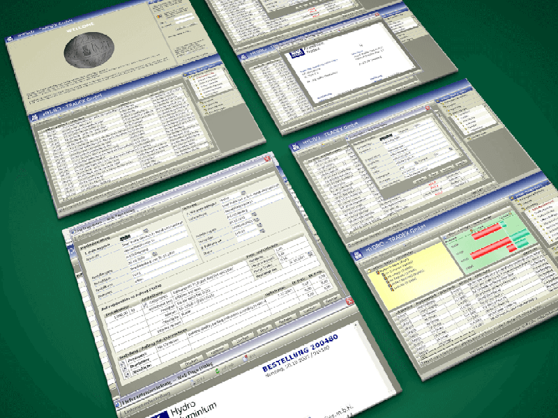 Hydro Order Management Anwendung